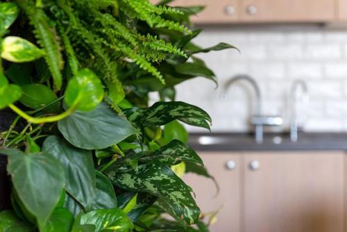 Интерьер из квартиры натуральных материалов. 03