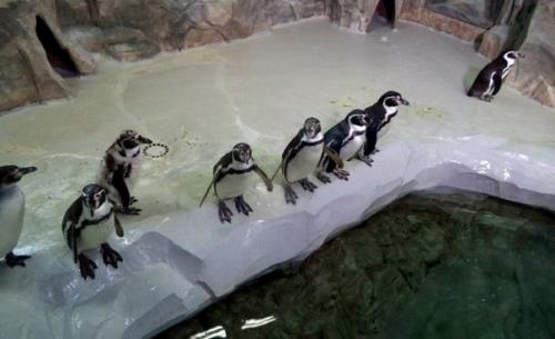 10 интересных мест для отдыха с детьми в Воронеже. 08