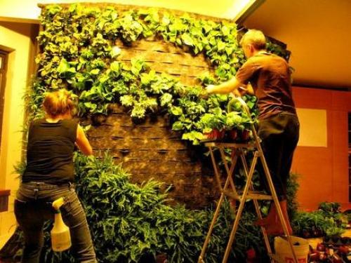 Что такое фитостена в интерьере. Фитостена? 

Фитостена - одна из главных тенденций современного дизайна интерьеров - использование экологически чистых материалов.