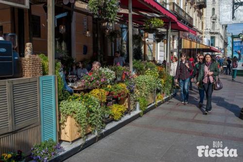 8 уютных летних веранд в центре Петербурга. 04