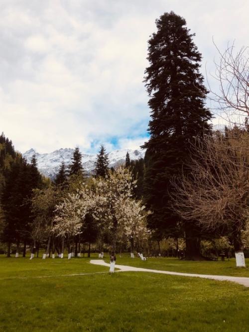 Товарищ Сталин, надо признать, был человеком со своими генеральскими тараканами (хорошо, что сейчас меня за эти слова не отправят в Магадан). 02