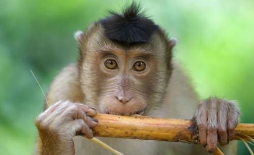 10 интересных мест для отдыха с детьми в Воронеже. 06