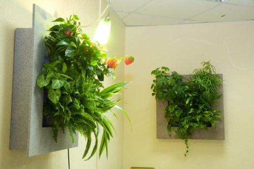 Что такое фитостена в интерьере. Фитостена? 

Фитостена - одна из главных тенденций современного дизайна интерьеров - использование экологически чистых материалов.