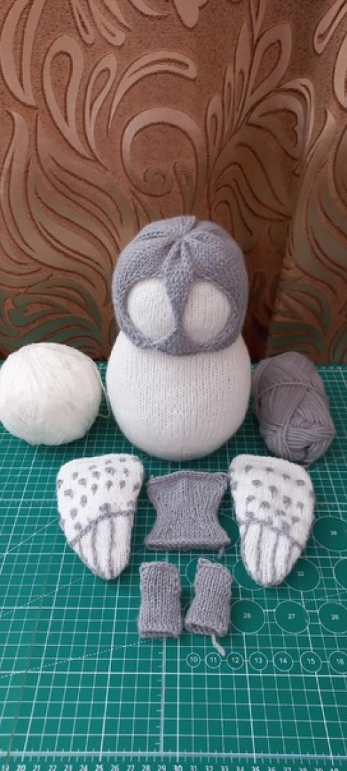 Белая сова.  Сова - символ мудрости. 02