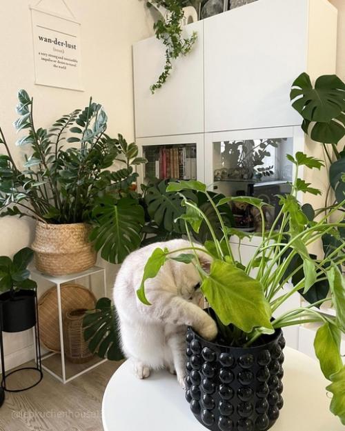 Светлый и уютный сканди - интерьер в Калуге Lebkuchenhouse13. 03