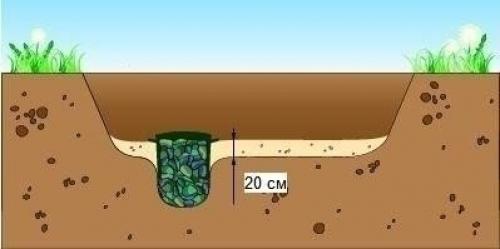 Маленький пруд на участке из старй ванно. 03
