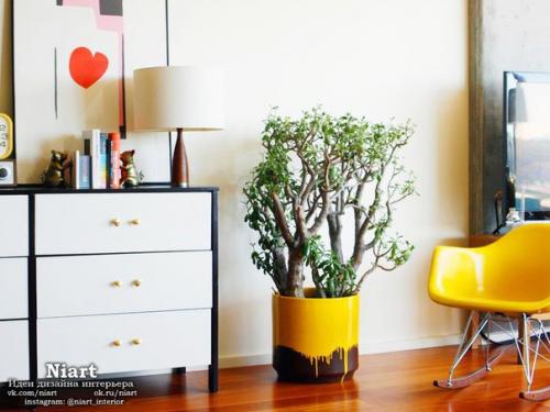 Цветы в интерьере или как оживить интерьер. 05