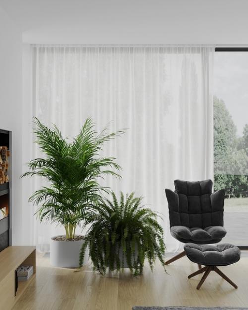 Я помню, когда был маленький, дед заходил со мной в огород и показывал разные деревья. 05