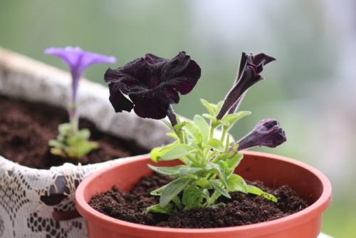 Длительная тщательная подготовка к ярмарке Летний Маркет Удивительных Вещиц немного выбила из колеи, из привычного ритма и расписания. 01