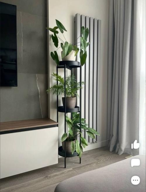 Растения в интерьере - это не просто элемент декора, а источник особой атмосферы в нашем доме. 03