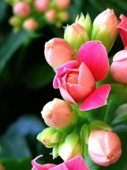 А вы знали? 05