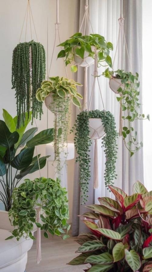 Растения в интерьере - это не просто элемент декора, а источник особой атмосферы в нашем доме. 04