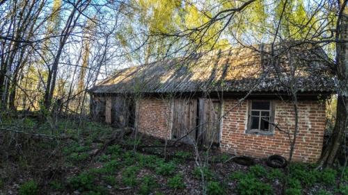 Пост любви к селам чзо. 07