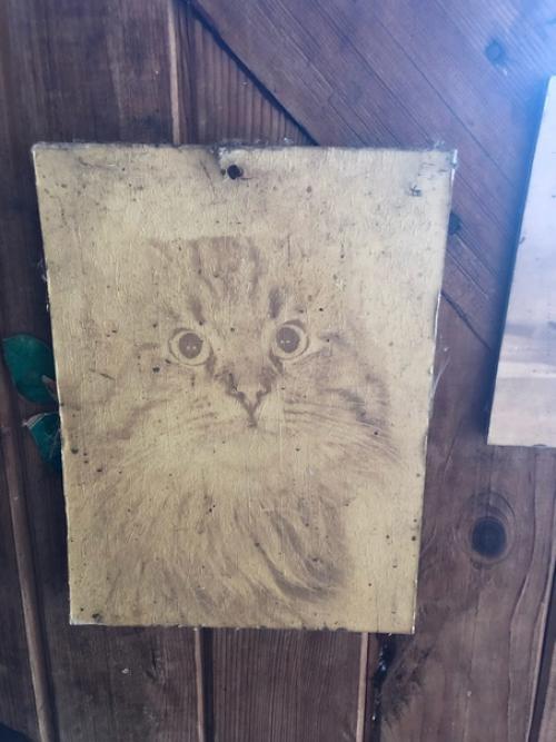 Интересные снимки с моего пристанища) первый снимок - это потолок спальни. 05