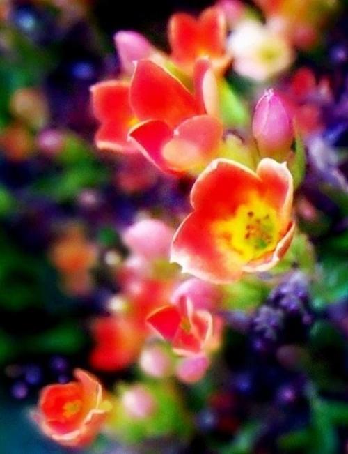 А вы знали? 02