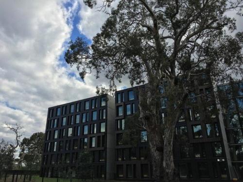 Студенческое общежитие в Австралии. 01