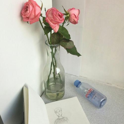 ~ 10 комнатных растений, которые очищают воздух ~. 03 ~ 10 комнатных растений, которые очищают воздух ~. 03