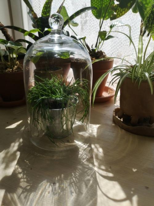 Про деревянные подоконники. 03 Про деревянные подоконники. 03