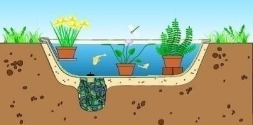 Маленький пруд на участке из старй ванно. 05