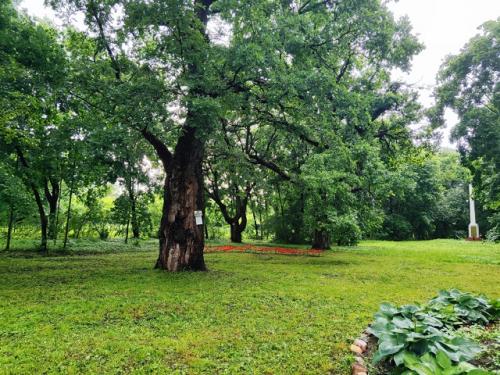 Недалеко от древнего юрьева - польского находится усадьба Сима. 01 Недалеко от древнего юрьева - польского находится усадьба Сима. 01