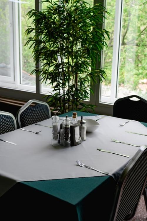 Зеленый зал питания обновился: новый взгляд на комфорт и стиль. 05