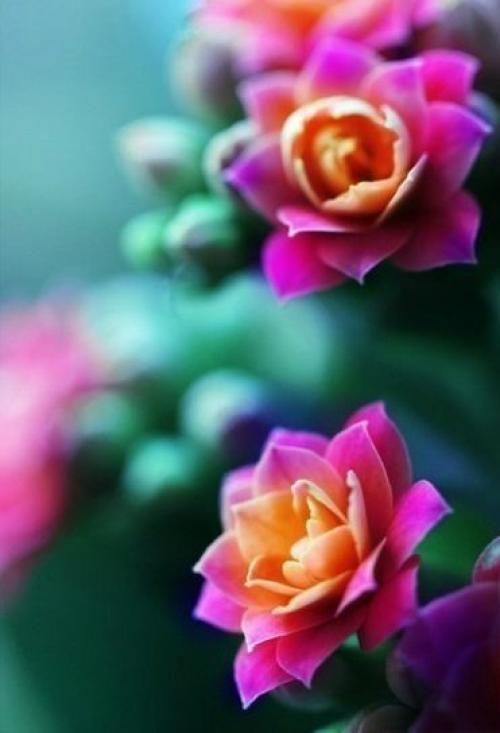 А вы знали? 03