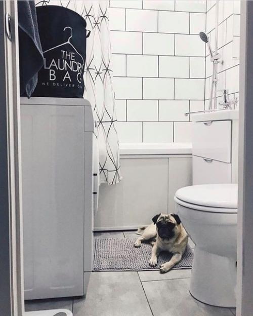 Купили квартиру, сделали ремонт. 06