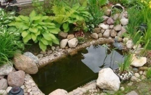 Маленький пруд на участке из старй ванно. 06