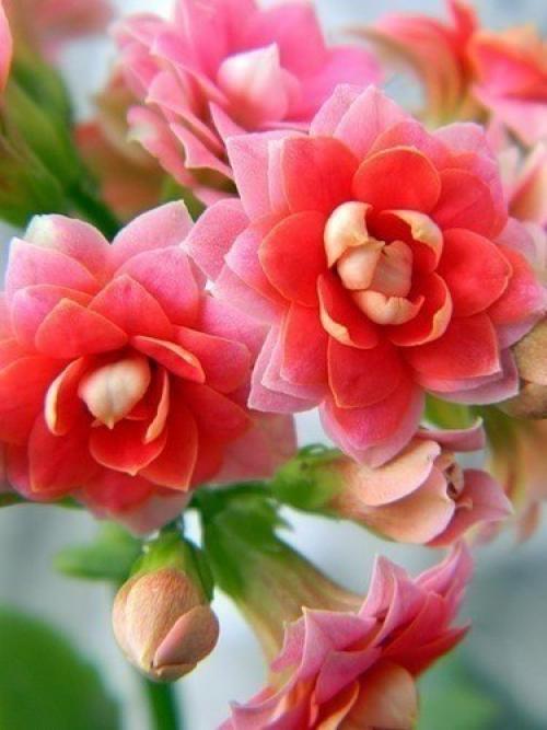 А вы знали? 01