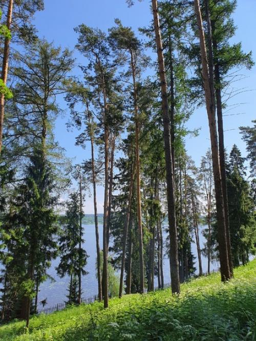 Дела давно минувших дней, приданье старины глубокой. 08