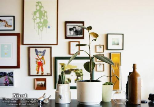 Цветы в интерьере или как оживить интерьер. 07