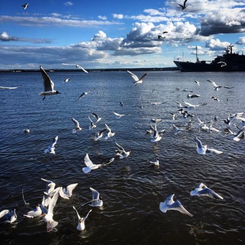 В этом июне случились белые ночи в Петербурге! 01