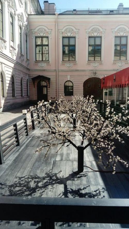 Музеи россии.  Строгановский дворец спб. 08