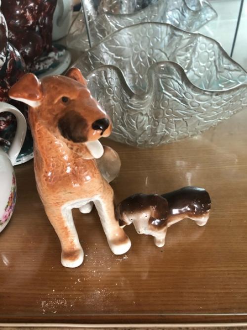 Интересные снимки с моего пристанища) первый снимок - это потолок спальни. 03