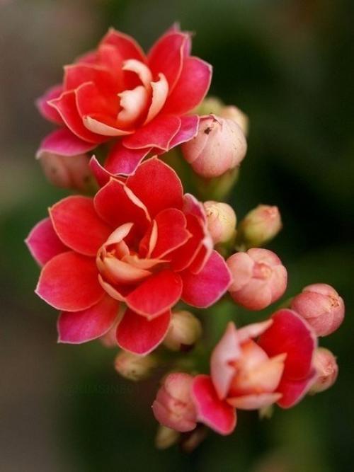 А вы знали? 04