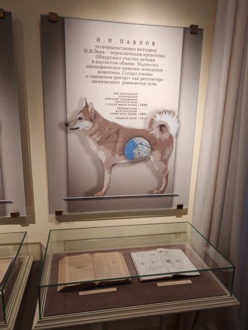 Ещё один интересный музей, который я посетил в Рязани, дом музей академика Павлова. 07