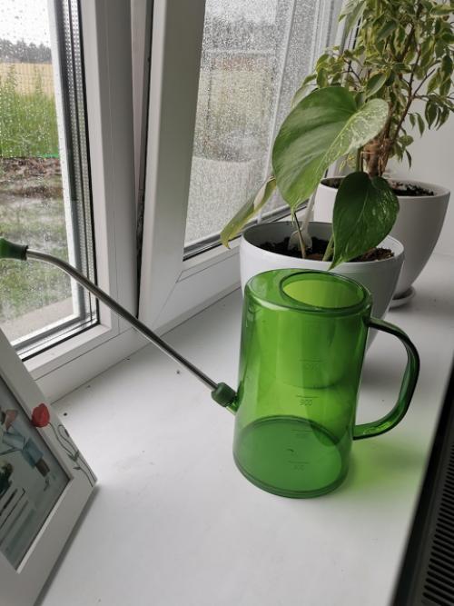 Хочу рассказать о книге Хилтона картера Как Превратить Свой дом в Зеленый рай. 05