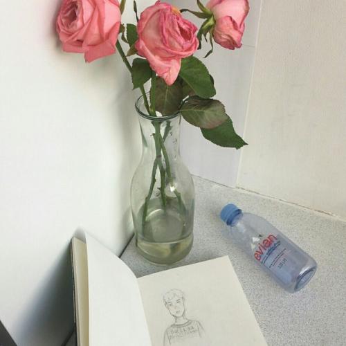 ~ 10 комнатных растений, которые очищают воздух ~. 01 ~ 10 комнатных растений, которые очищают воздух ~. 01