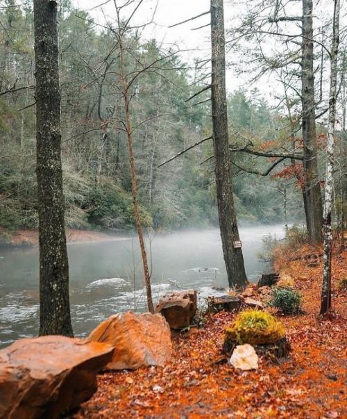 Вдали от шумного города, среди густых лесов и живописных гор, находился дом, который стал воплощением мечты многих людей о спокойствии и уединении. 07