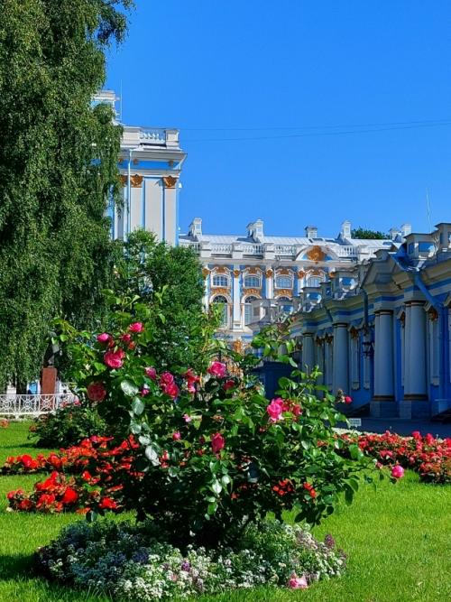 Прекрасный город Пушкин.
