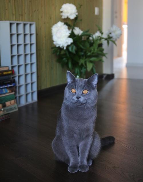 10 лет назад мы въехали в нашу первую квартиру. 06