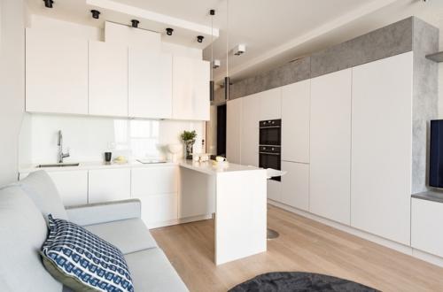 Интерьер квартиры - студии 32 кв. 04