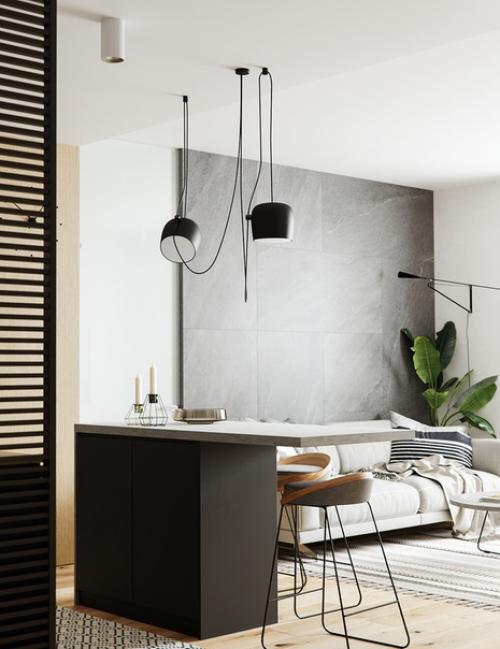 Квартира площадью 50 м 2. 01