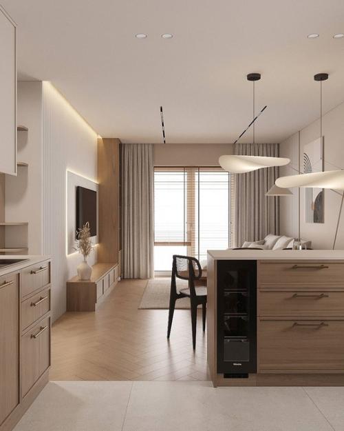 Гостиная с кухонным уголком площадью 20 м 2. 04