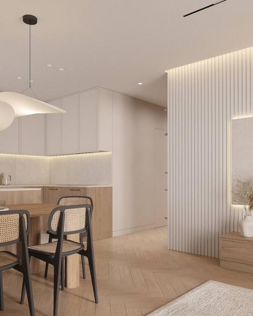 Гостиная с кухонным уголком площадью 20 м 2. 03