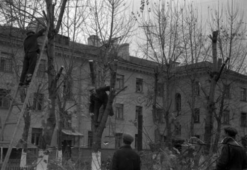 Средняя первомайская улица, 17 (снесен), 17 а (снесен), 19. 02