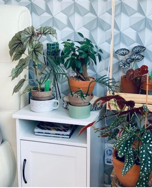 Иметь стильный зелёный уголок в городской квартире этот так здорово и так свежо! 01
