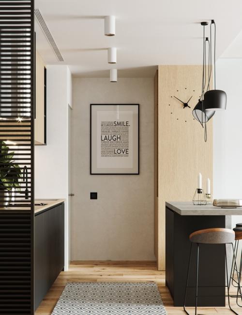 Квартира площадью 50 м 2.