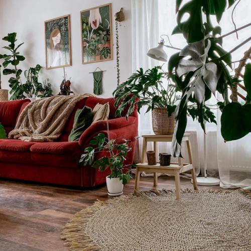 Множество декора, кухонной утвари и растений в доме с шикарным красным диваном. 07