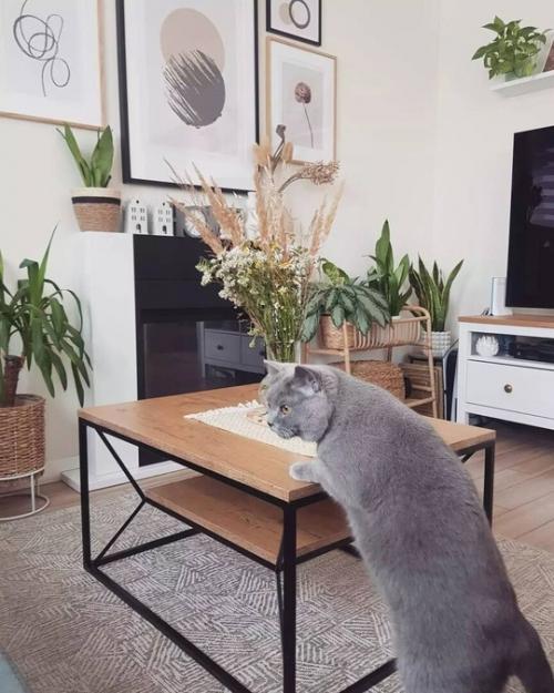 Интерьер этого дома сочетает в себе лучшие черты скандинавского стиля и бохо. 04